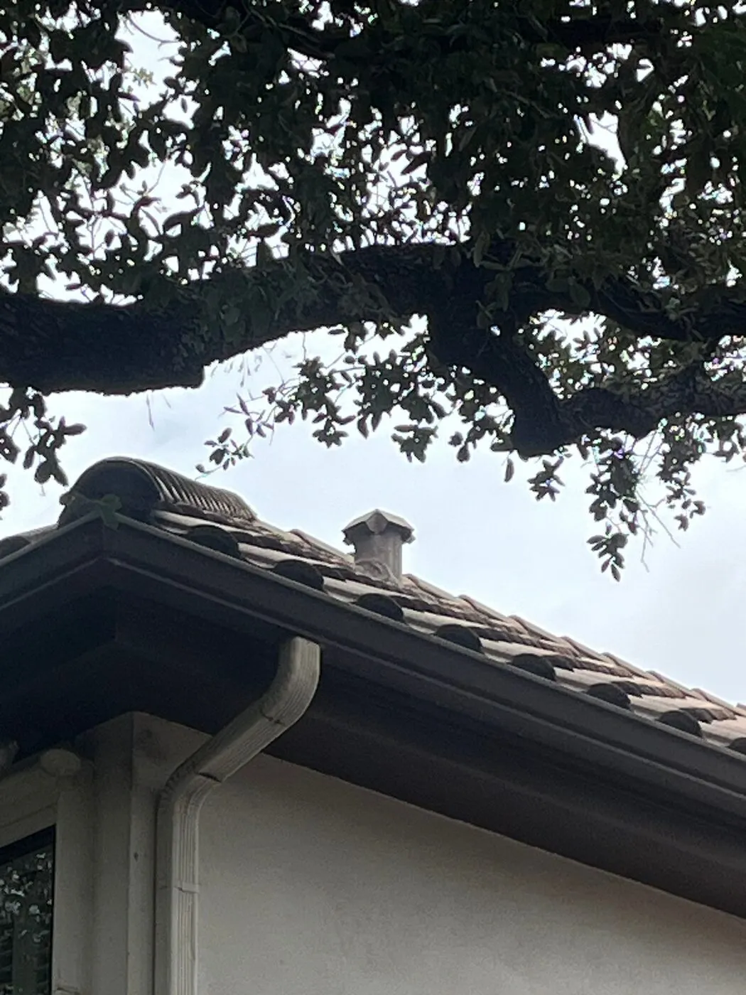 Roof & Flashing